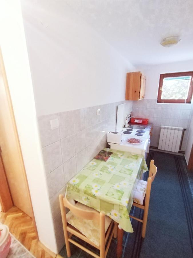 Vila Zoran Apartment *