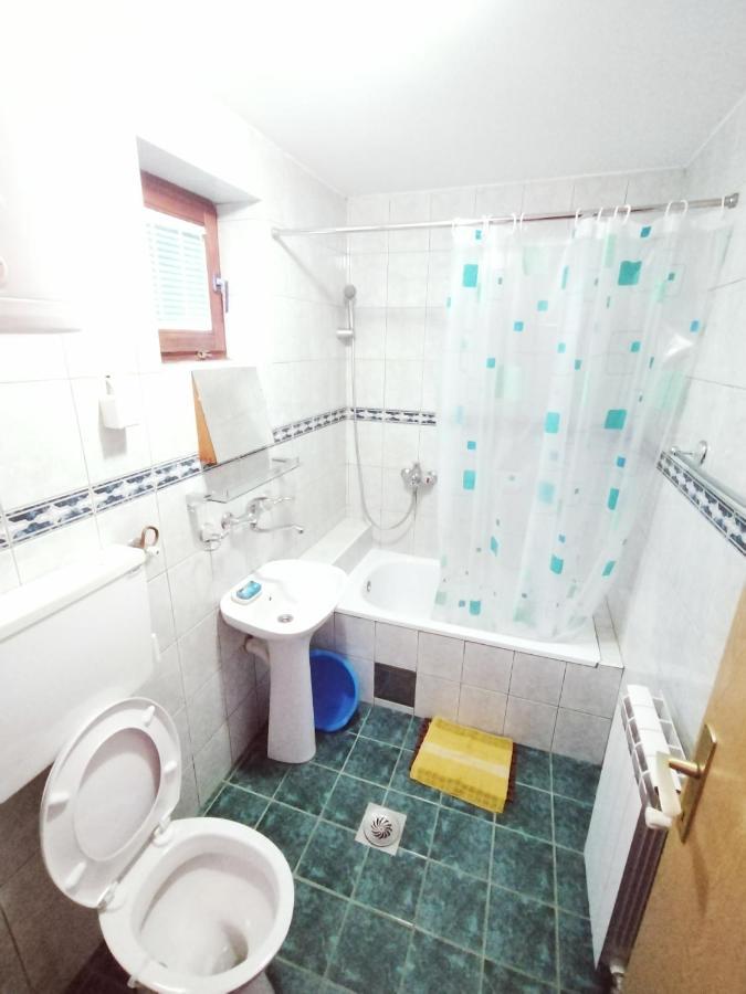 Vila Zoran Apartment